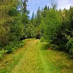 Almhorizont Beim Oberen Kreuzer