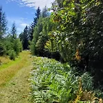Almhorizont Beim Oberen Kreuzer *