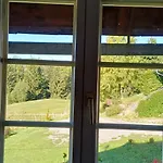 Almhorizont Beim Oberen Kreuzer * Friesach (Carinthia)