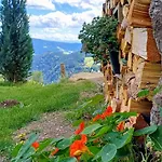 Dom wakacyjny Almhorizont Beim Oberen Kreuzer Friesach (Carinthia)