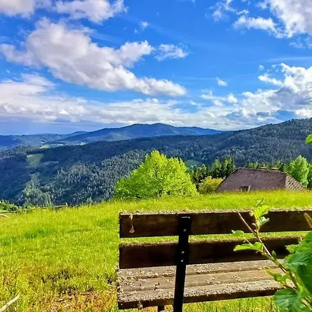 Almhorizont Beim Oberen Kreuzer Friesach (Carinthia)
