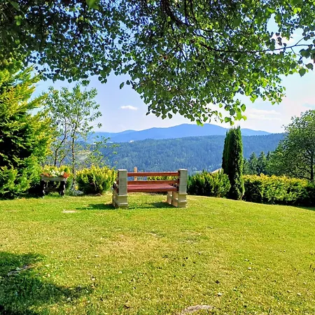 Almhorizont Beim Oberen Kreuzer *