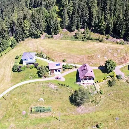 Almhorizont Beim Oberen Kreuzer Ferienhaus Friesach (Carinthia)