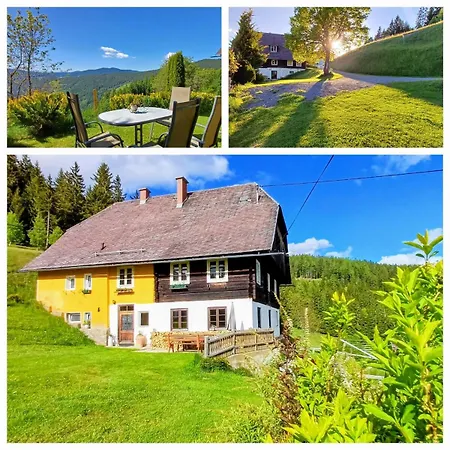 Almhorizont Beim Oberen Kreuzer * Friesach (Carinthia)