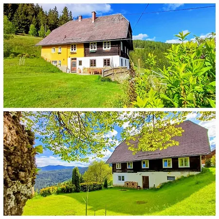 Almhorizont Beim Oberen Kreuzer Friesach (Carinthia)