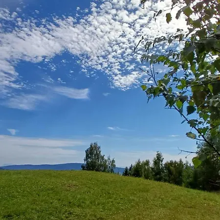 Tatil Evi Almhorizont Beim Oberen Kreuzer Friesach (Carinthia)