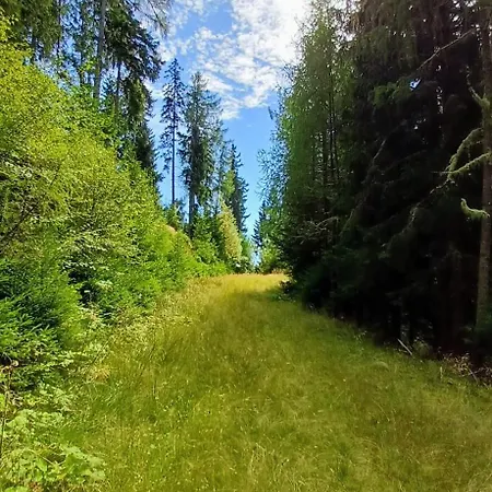 Almhorizont Beim Oberen Kreuzer Friesach (Carinthia)