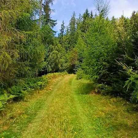 Almhorizont Beim Oberen Kreuzer