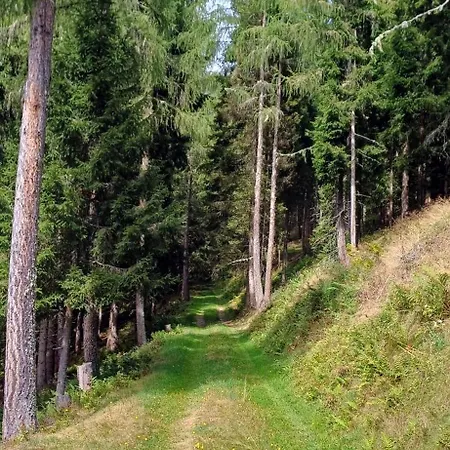 Almhorizont Beim Oberen Kreuzer