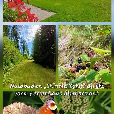 Almhorizont Beim Oberen Kreuzer Tatil Evi