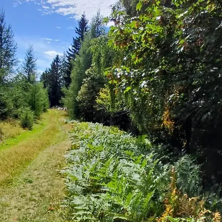 Almhorizont Beim Oberen Kreuzer *