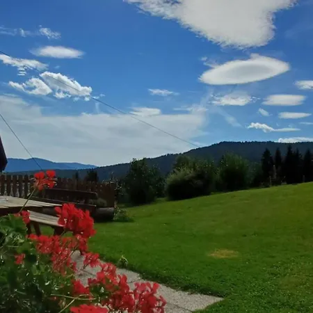 Almhorizont Beim Oberen Kreuzer * Friesach (Carinthia)