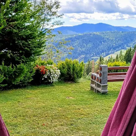 Almhorizont Beim Oberen Kreuzer * Friesach (Carinthia)