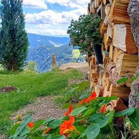 Ferienhaus Almhorizont Beim Oberen Kreuzer Friesach (Carinthia)