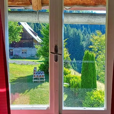 Almhorizont Beim Oberen Kreuzer *