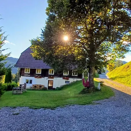 Almhorizont Beim Oberen Kreuzer * Friesach (Carinthia)