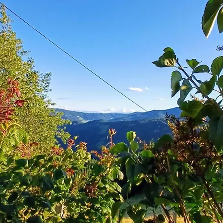 Almhorizont Beim Oberen Kreuzer Holiday home *