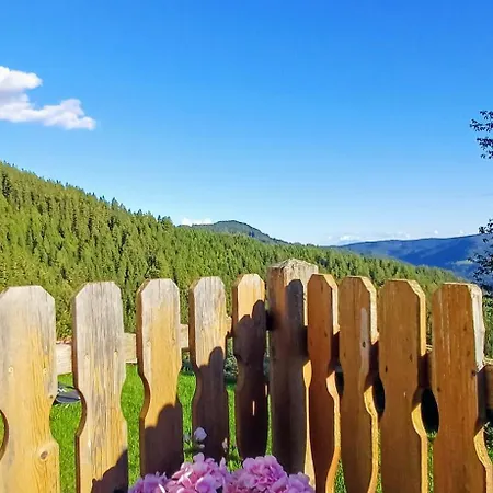 Almhorizont Beim Oberen Kreuzer *