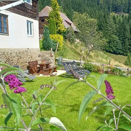 Almhorizont Beim Oberen Kreuzer Friesach (Carinthia)