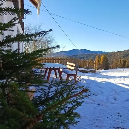 Almhorizont Beim Oberen Kreuzer * Friesach (Carinthia)