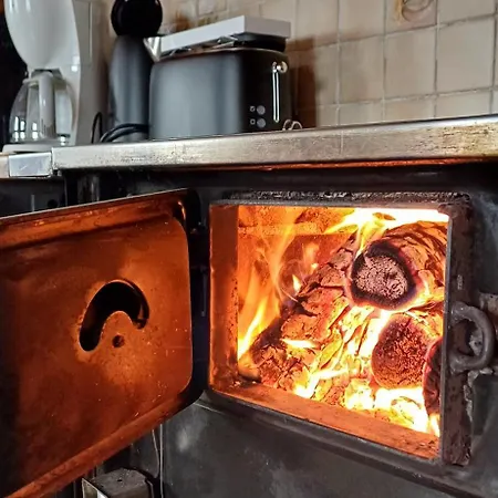 Almhorizont Beim Oberen Kreuzer * Friesach (Carinthia)