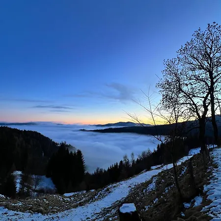 Almhorizont Beim Oberen Kreuzer Friesach (Carinthia)