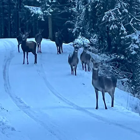 Almhorizont Beim Oberen Kreuzer Casa de Férias *