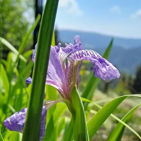 Almhorizont Beim Oberen Kreuzer Casa de Férias Friesach (Carinthia)