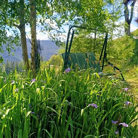 Almhorizont Beim Oberen Kreuzer Friesach (Carinthia)