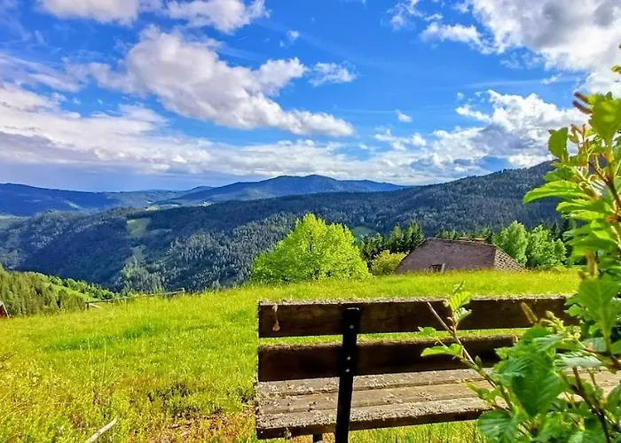 Almhorizont Beim Oberen Kreuzer 프리에자흐