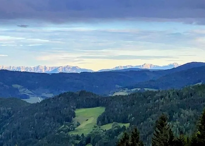 度假居 Almhorizont Beim Oberen Kreuzer 弗里萨赫