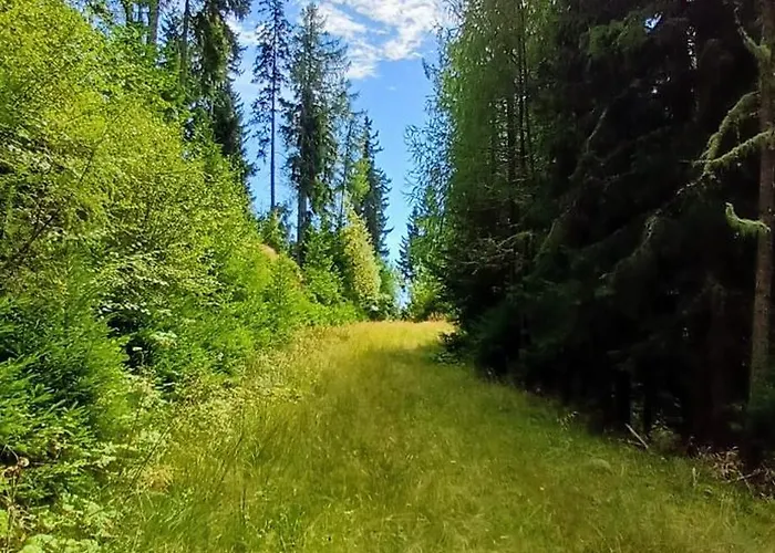 Almhorizont Beim Oberen Kreuzer 프리에자흐