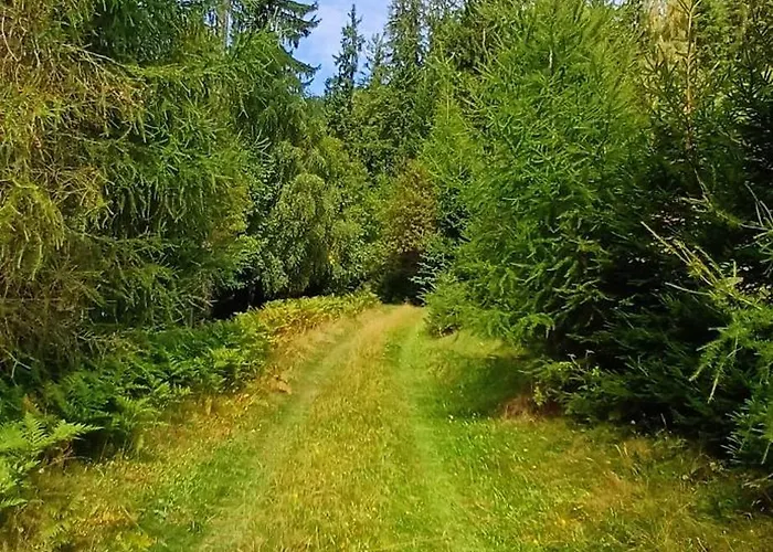 Almhorizont Beim Oberen Kreuzer