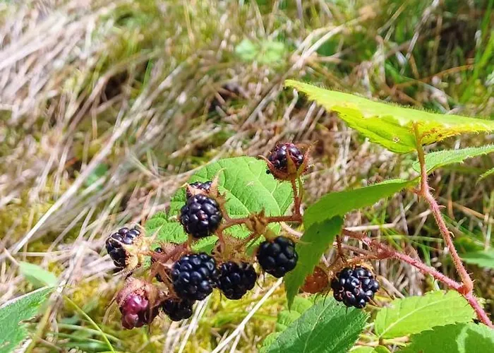 펜션 Almhorizont Beim Oberen Kreuzer