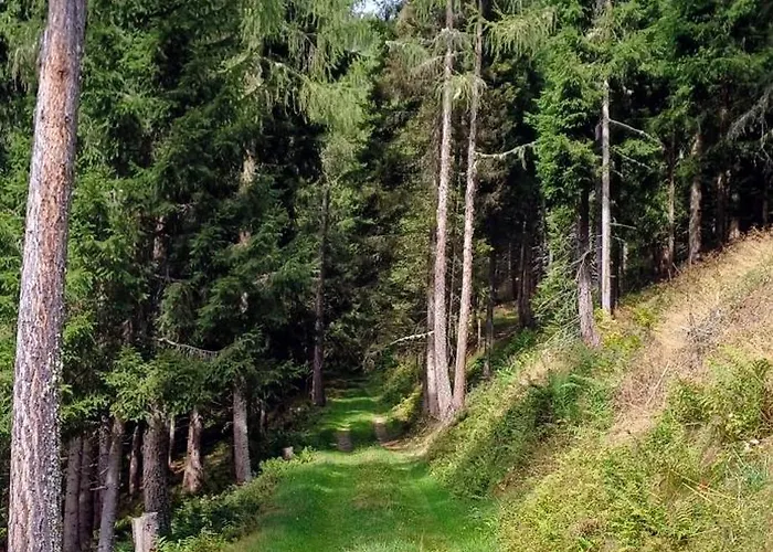 Almhorizont Beim Oberen Kreuzer