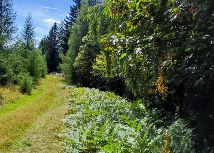 Almhorizont Beim Oberen Kreuzer *