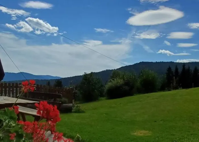 Almhorizont Beim Oberen Kreuzer * 프리에자흐