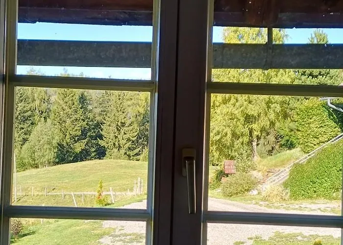 Almhorizont Beim Oberen Kreuzer * 프리에자흐