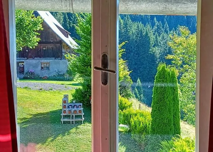 Almhorizont Beim Oberen Kreuzer *