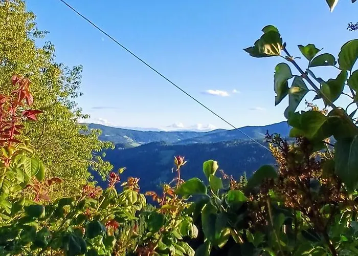 Almhorizont Beim Oberen Kreuzer 펜션 *