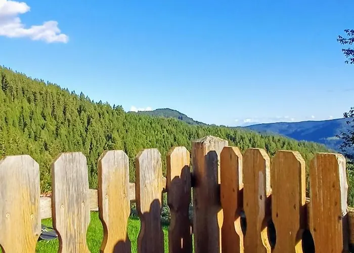 Almhorizont Beim Oberen Kreuzer *