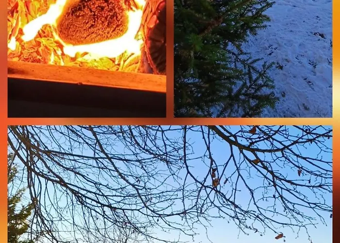 度假居 Almhorizont Beim Oberen Kreuzer 弗里萨赫