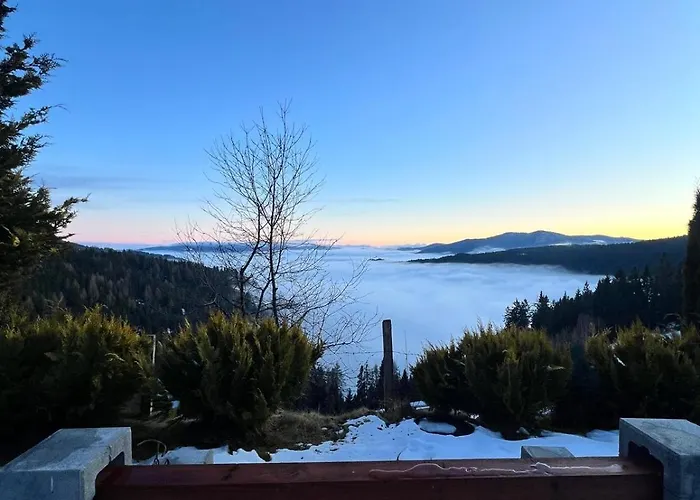 Almhorizont Beim Oberen Kreuzer 프리에자흐