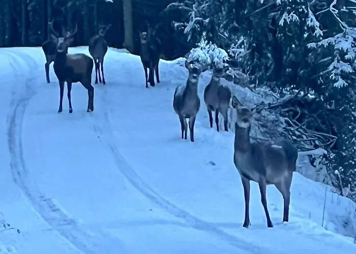 Almhorizont Beim Oberen Kreuzer 펜션 *